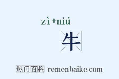 牸牛是什么意思的图片